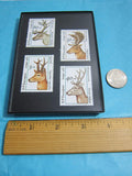 Antlers Framed Stamp Art