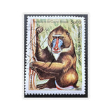 Baboon Africa Stamp Sticker